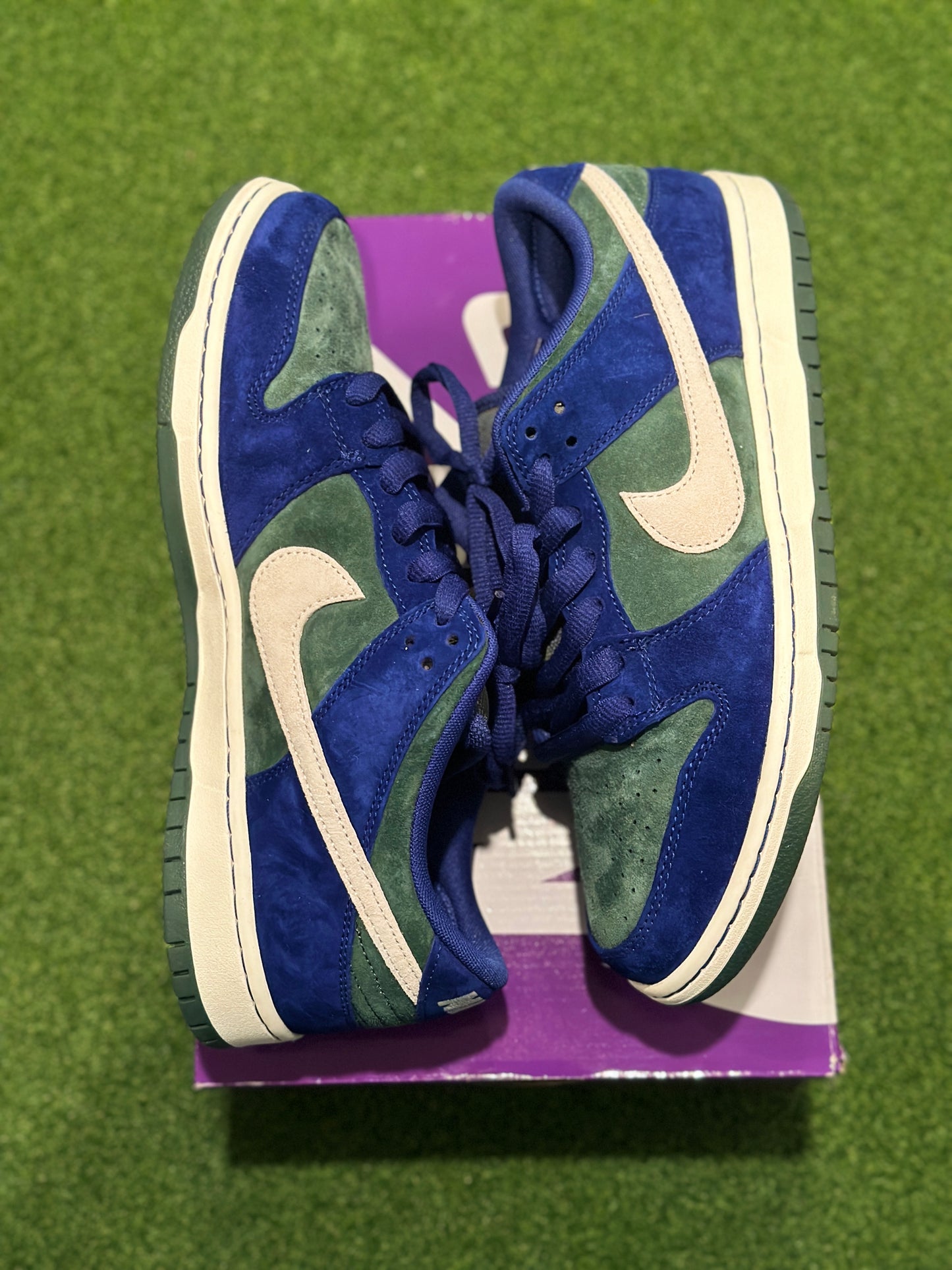 Size 10.5 - Nike SB Dunk