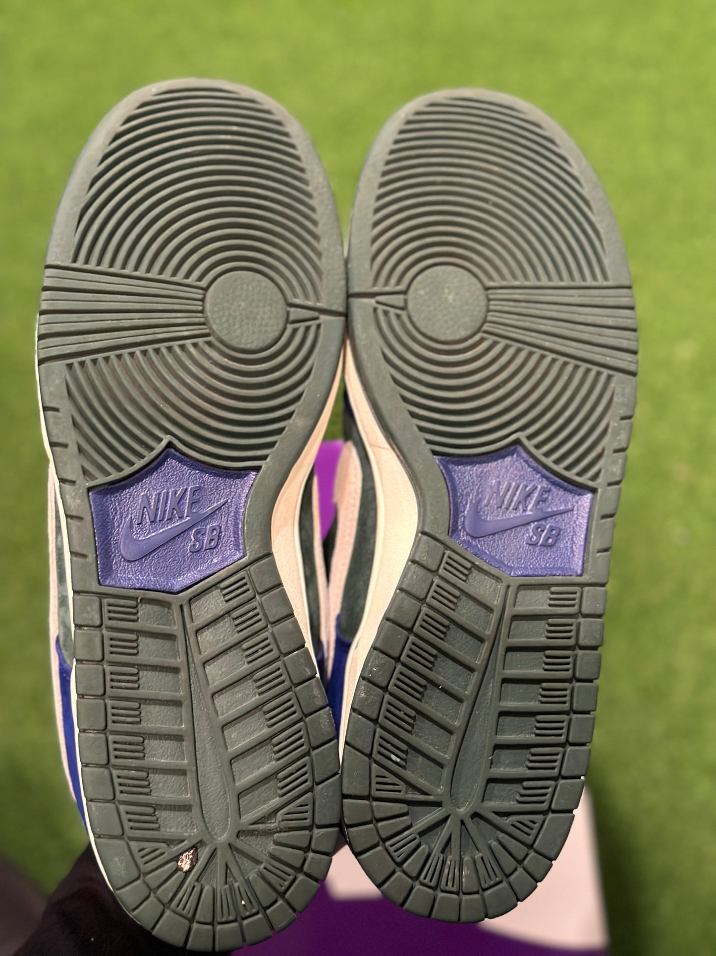 Size 10.5 - Nike SB Dunk