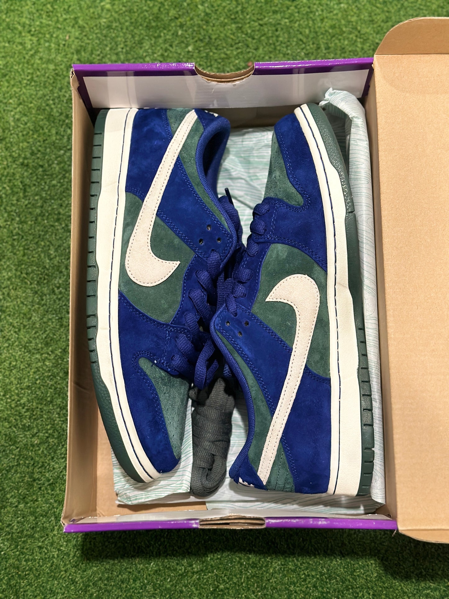Size 10.5 - Nike SB Dunk