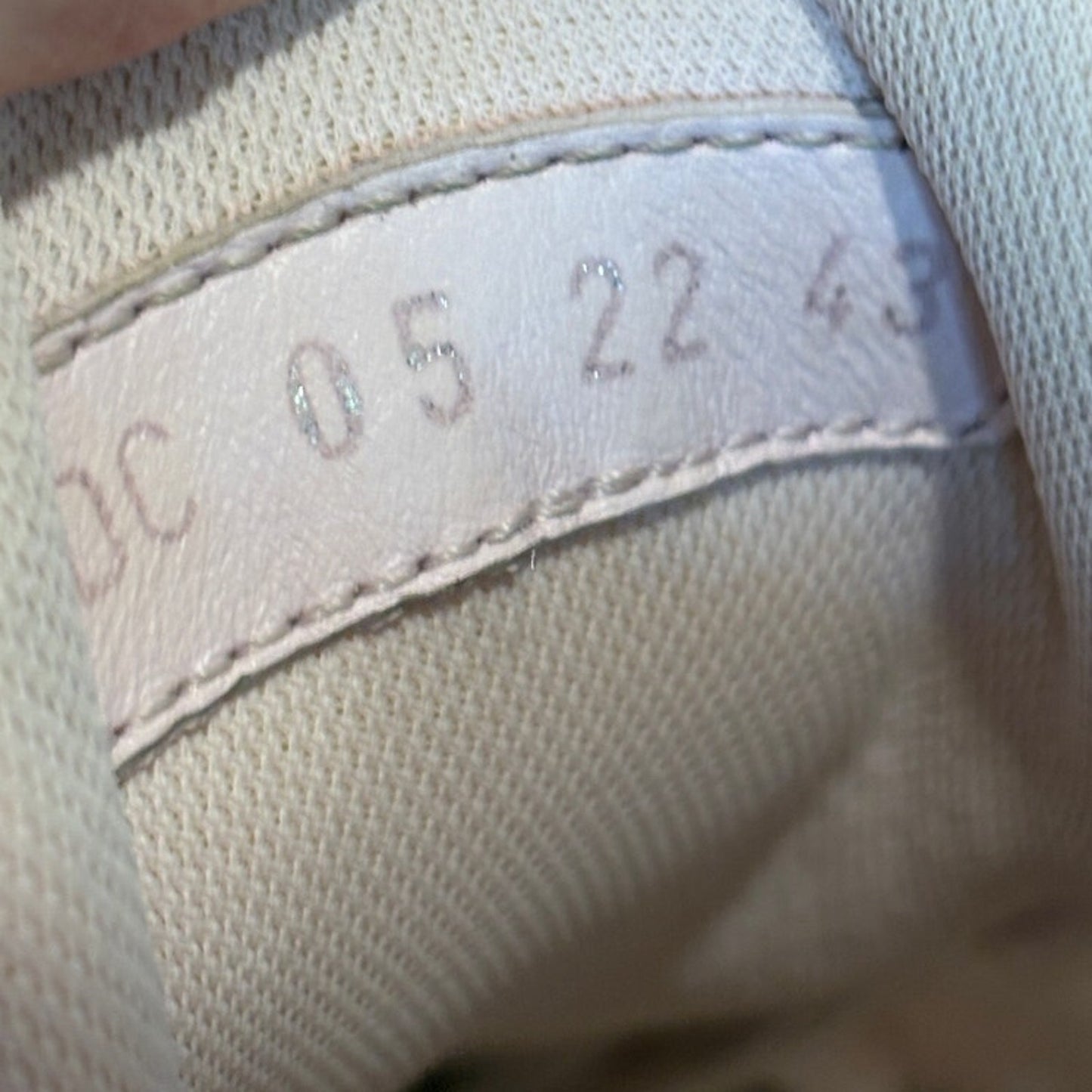 Size 10 - Dior B22 Pink With Blue Sole